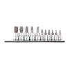 TORX Socket Set on Rail 11 Piece 1/4" & 3/8" Drive On Clip Rail