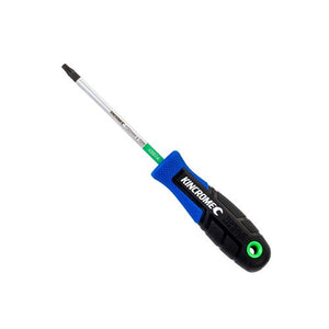 TorqueMaster TORX Screwdriver T25 x 100mm